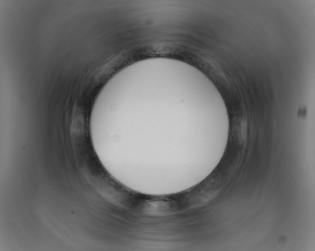 X0000091860220200709261301