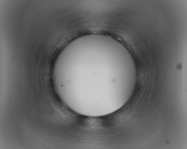 X0000091860221200709261301