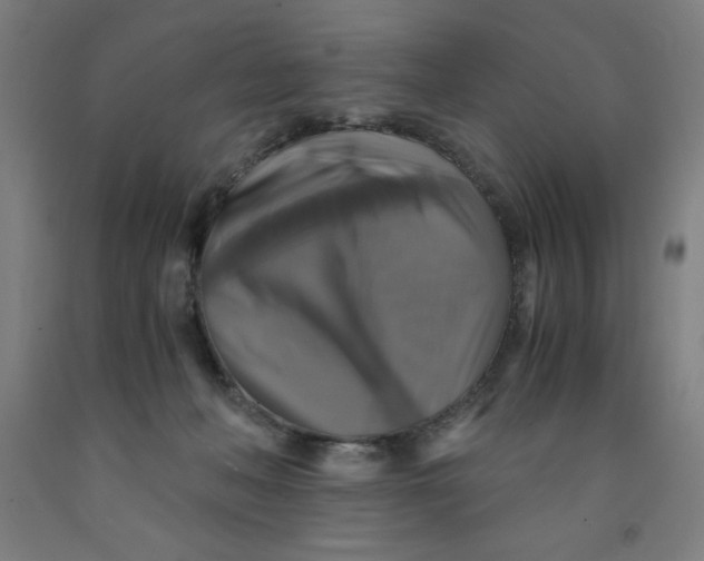 X0000091860222200709261301