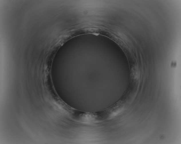 X0000091860223200709261301