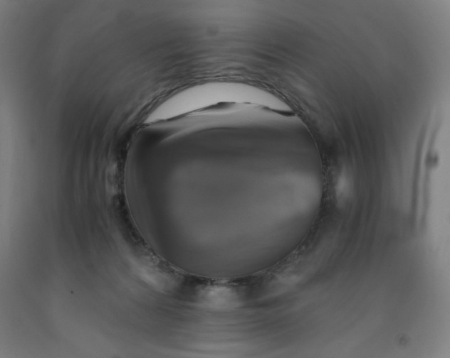 X0000091860224200709261301