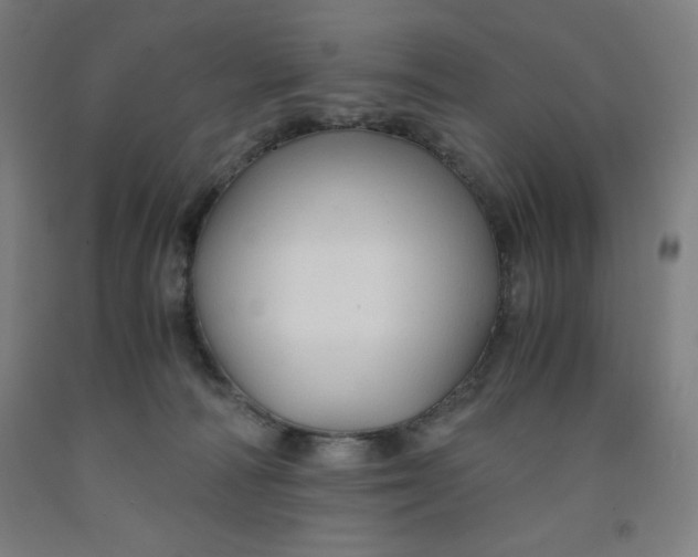 X0000091860226200709261301