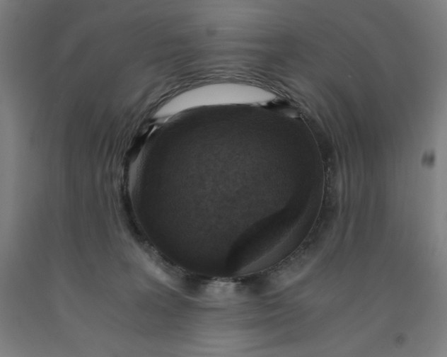 X0000091860227200709261301