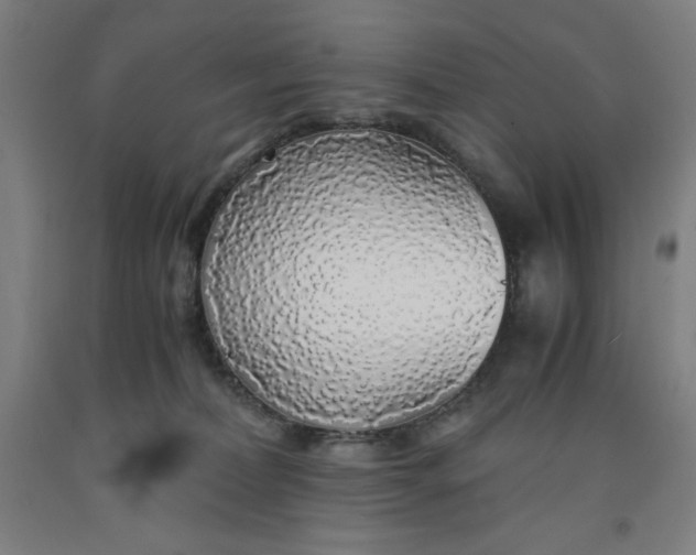 X0000091860228200709261301