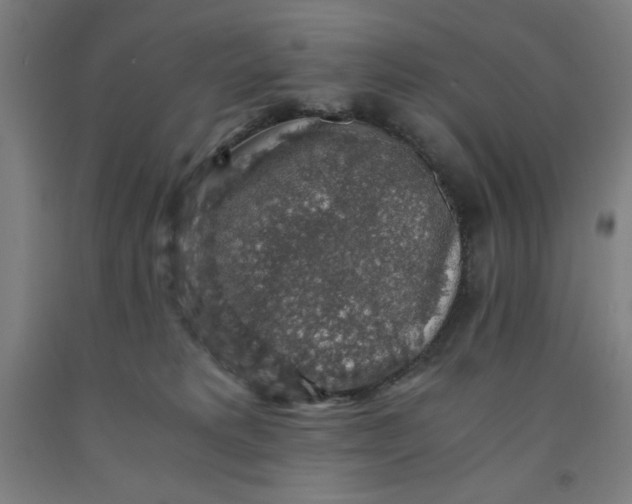 X0000091860229200709261301