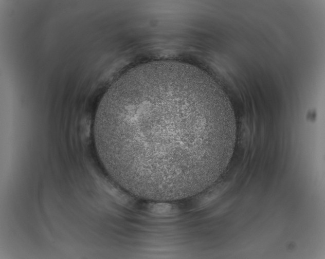 X0000091860230200709261301