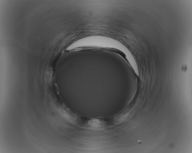 X0000091860231200709261301