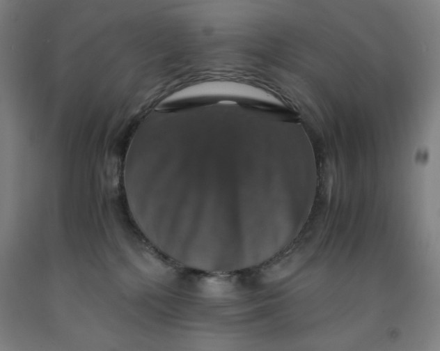 X0000091860232200709261301