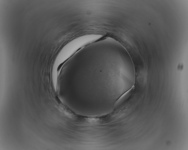 X0000091860233200709261301