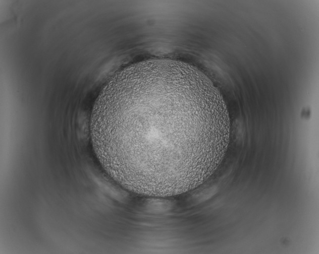 X0000091860234200709261301