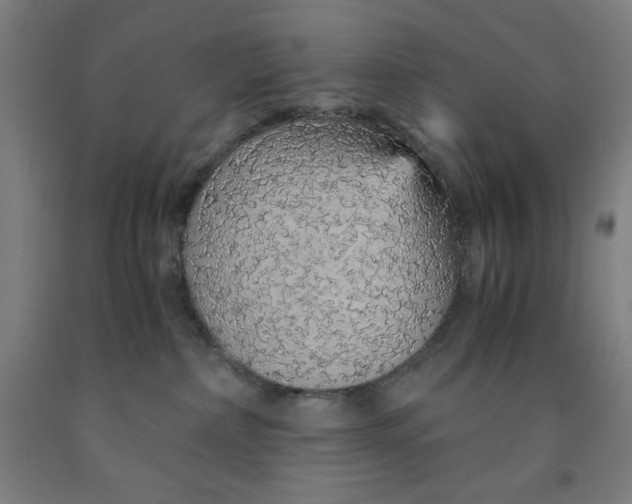 X0000091860236200709261301