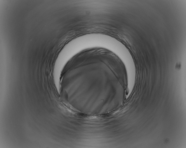 X0000091860237200709261301