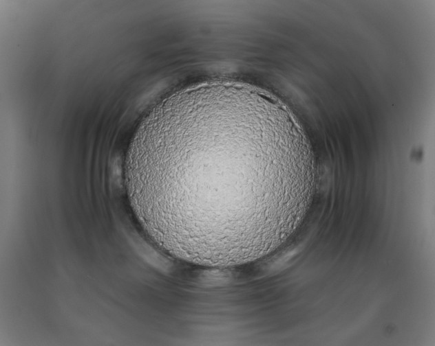 X0000091860238200709261301