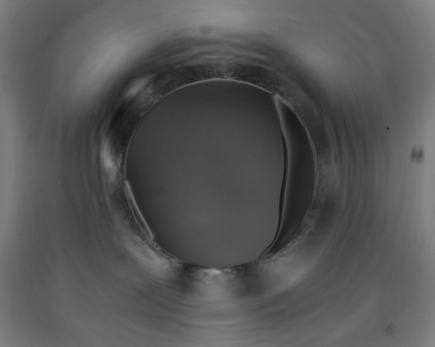 X0000091860239200709261301