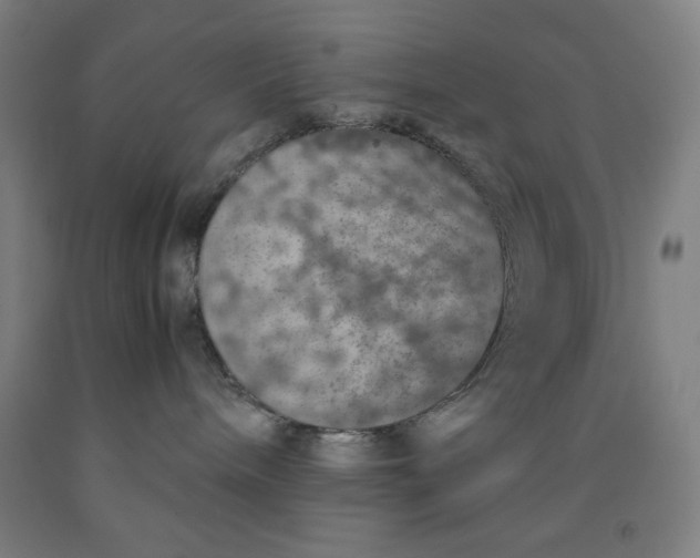 X0000091860240200709261301