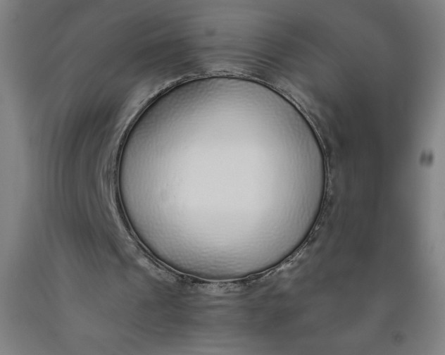 X0000091860241200709261300