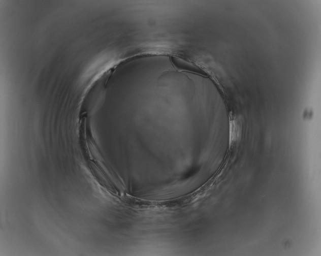 X0000091860243200709261300