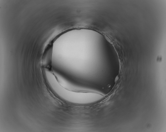 X0000091860244200709261300