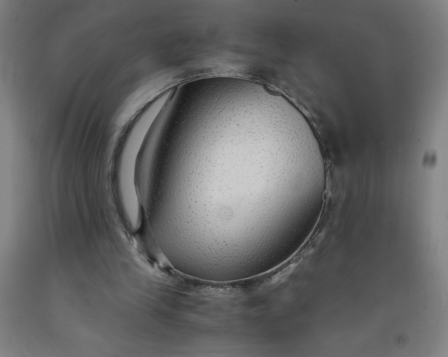 X0000091860245200709261300