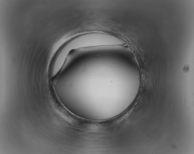 X0000091860246200709261300