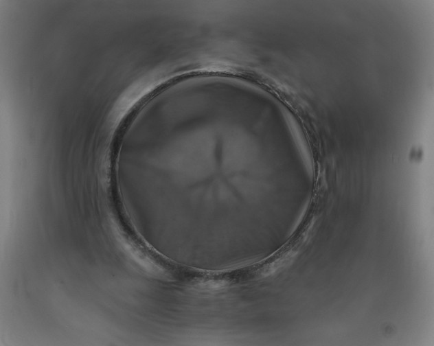 X0000091860247200709261300