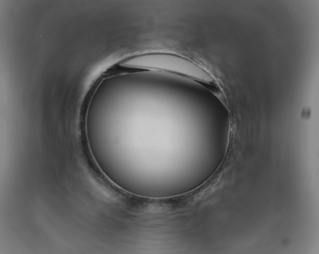 X0000091860248200709261300