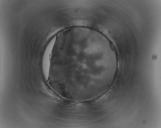 X0000091860249200709261300