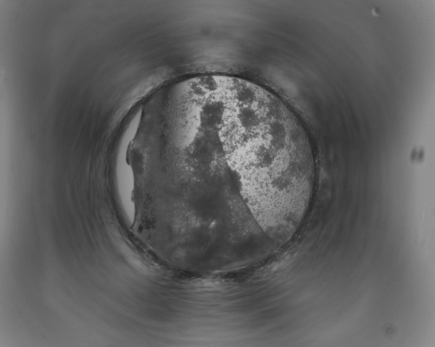 X0000091860250200709261300