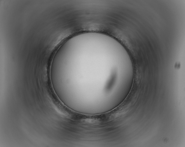 X0000091860251200709261300