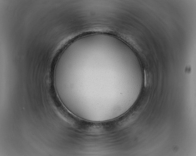 X0000091860252200709261300