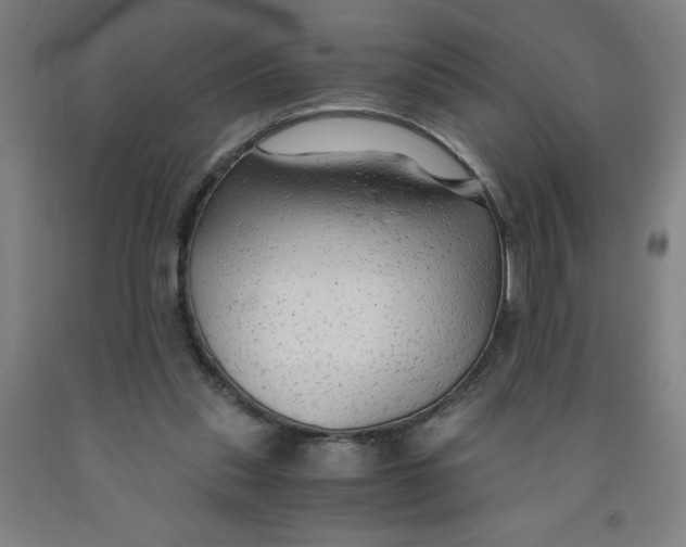 X0000091860253200709261300