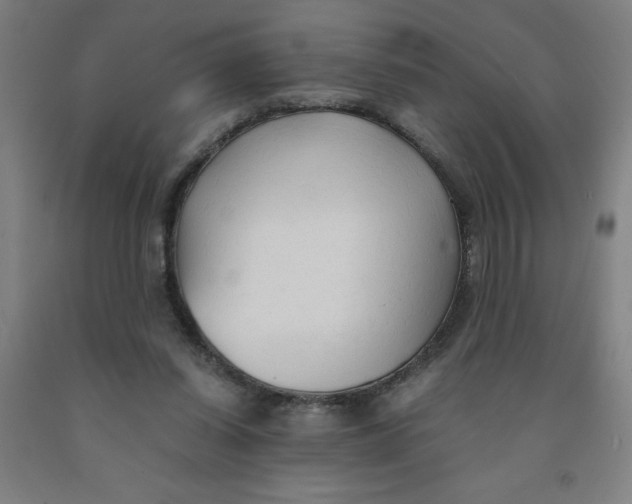 X0000091860254200709261300