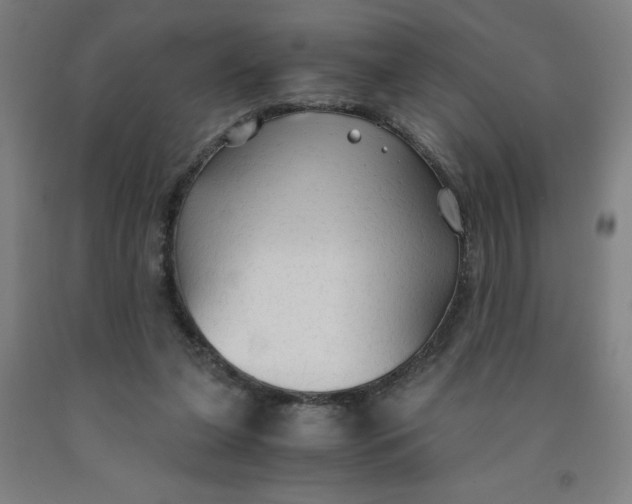 X0000091860255200709261300