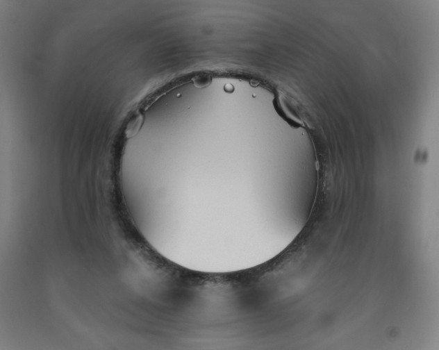 X0000091860256200709261300