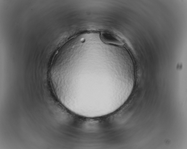 X0000091860257200709261300