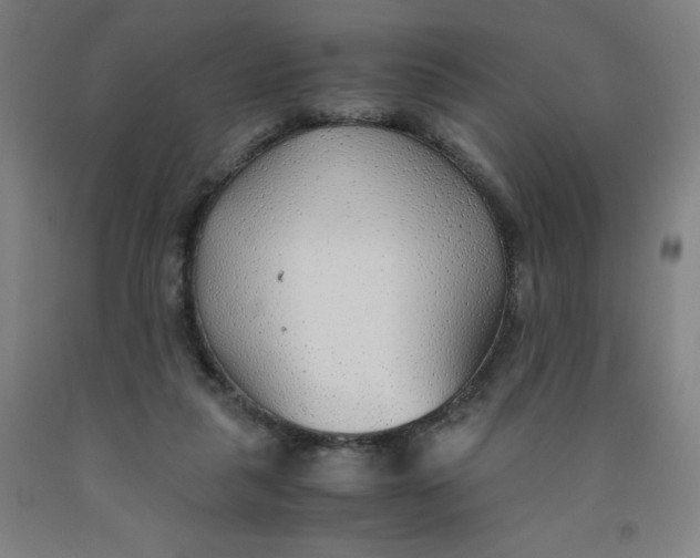 X0000091860259200709261300