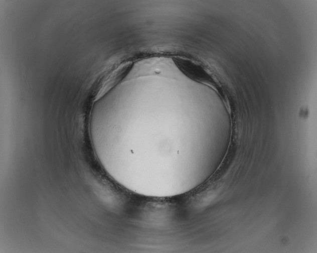 X0000091860260200709261300