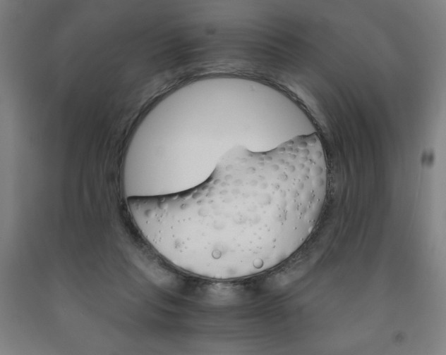 X0000091860261200709261300