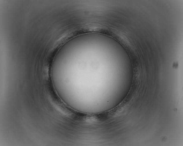 X0000091860262200709261300