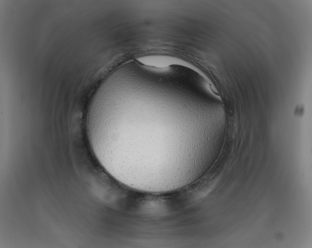 X0000091860263200709261300