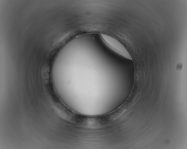 X0000091860264200709261300