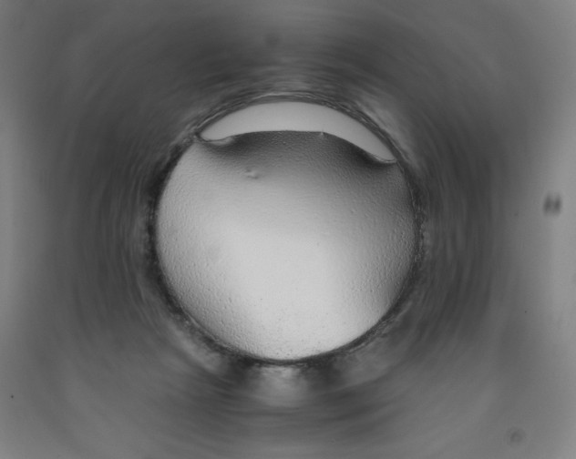 X0000091860265200709261300