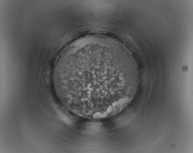 X0000091860266200709261300