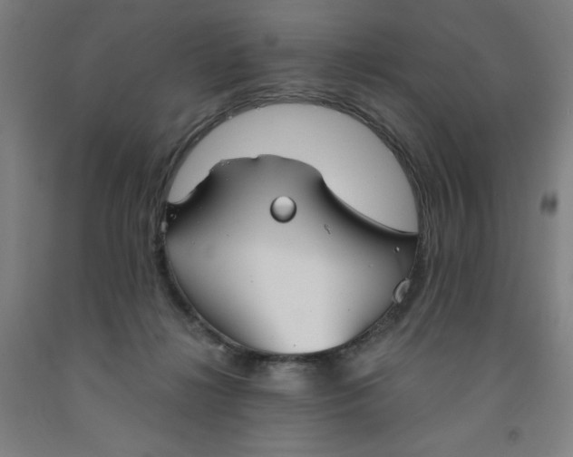 X0000091860268200709261301