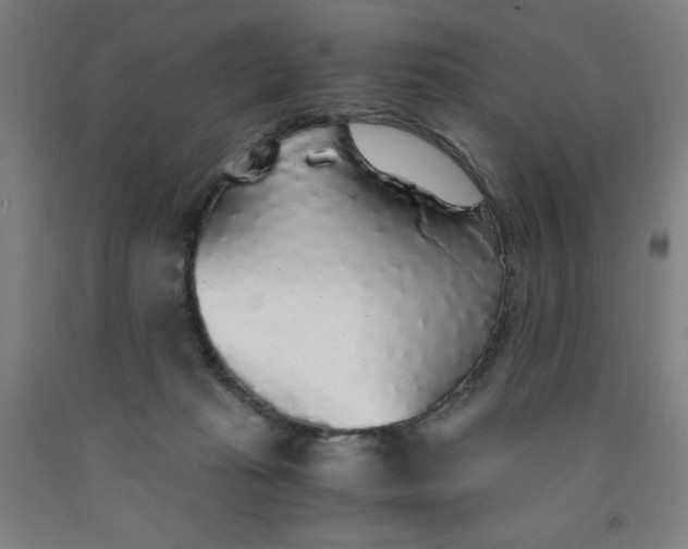 X0000091860269200709261301