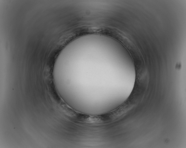 X0000091860270200709261301