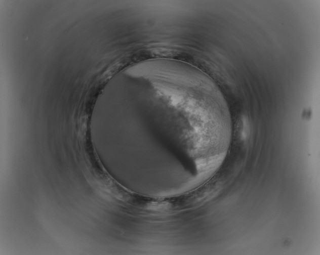 X0000091860271200709261301