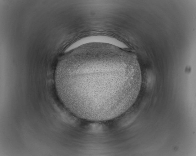 X0000091860272200709261301