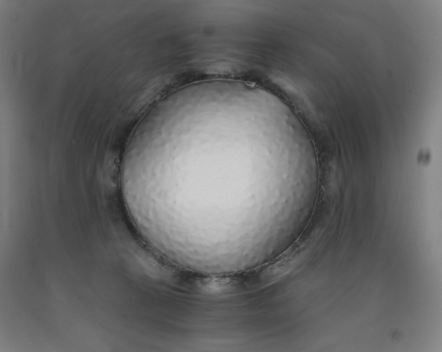 X0000091860273200709261301