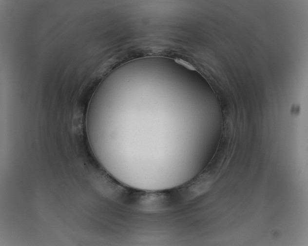 X0000091860274200709261301